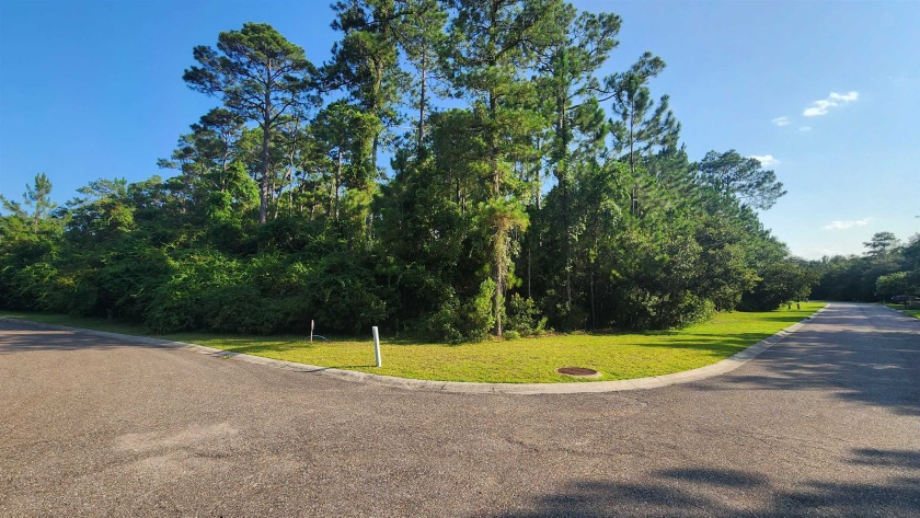 Are you looking to build your dream home in southeast Georgia? - Beach Lot for sale in Saint Marys, Georgia on Beachhouse.com