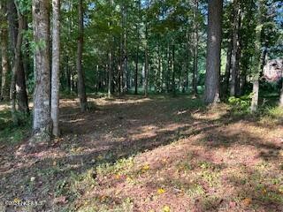 Stunning 3.2-acre wooded lot in Carolina Colours!  As the - Beach Acreage for sale in New Bern, North Carolina on Beachhouse.com