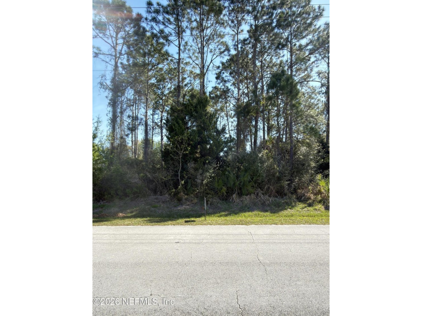 Build your dream home on this approximately 80' x 125' (10,000 - Beach Lot for sale in Palm Coast, Florida on Beachhouse.com