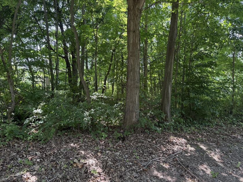 Build Your Private Retreat in Southwest Michigan! Discover the - Beach Lot for sale in Coloma, Michigan on Beachhouse.com