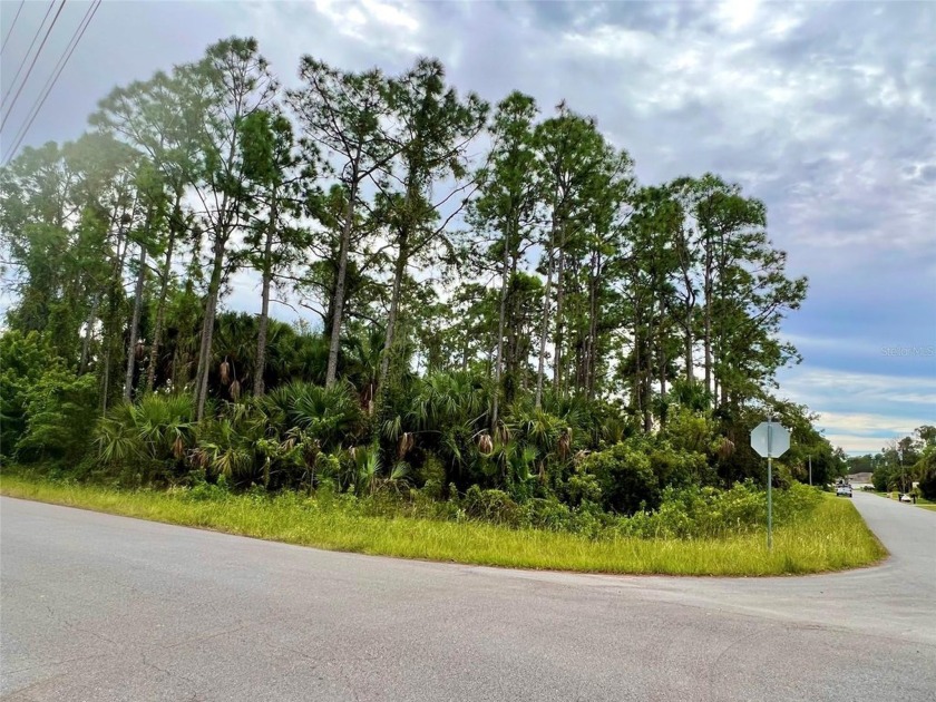 Welcome to the vibrant and rapidly growing community of North - Beach Lot for sale in North Port, Florida on Beachhouse.com