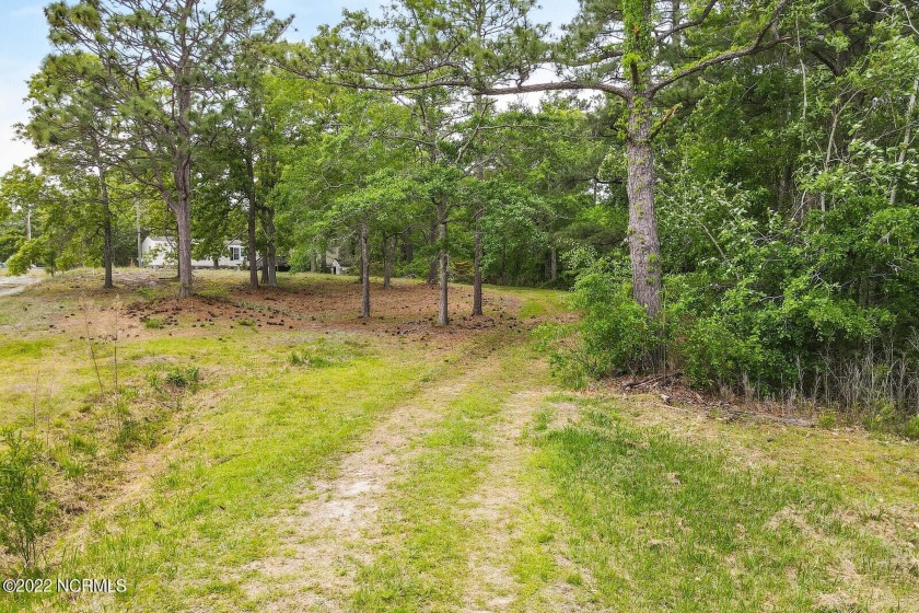 One beautiful acre of land with mature shade trees and a titled - Beach Lot for sale in Holly Ridge, North Carolina on Beachhouse.com