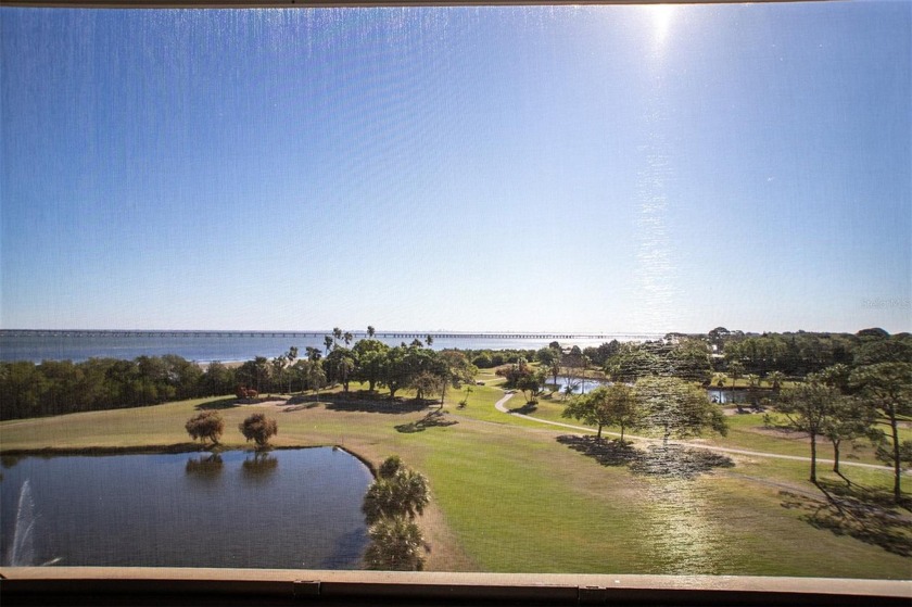 Under contract-accepting backup offers. The view is a - Beach Condo for sale in Clearwater, Florida on Beachhouse.com