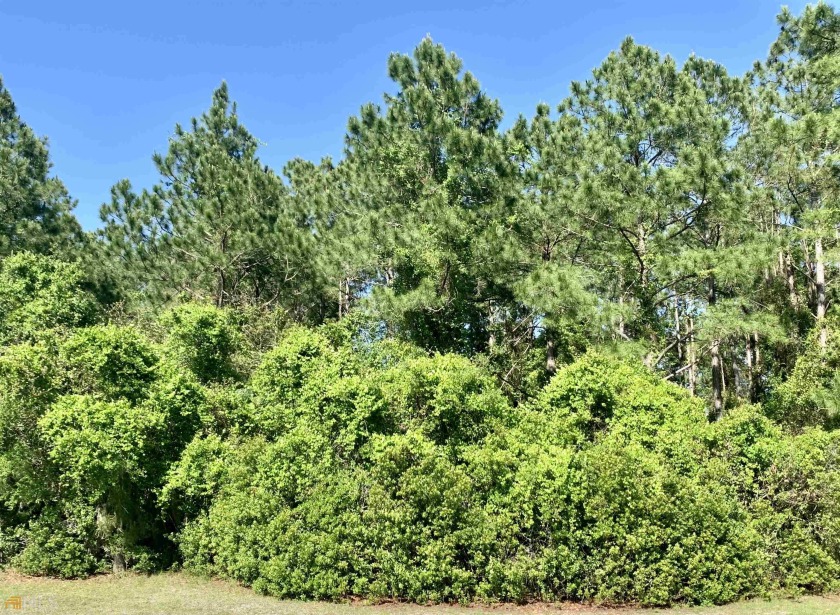 This is your chance to own this gorgeous lakefront homesite in - Beach Lot for sale in Saint Marys, Georgia on Beachhouse.com
