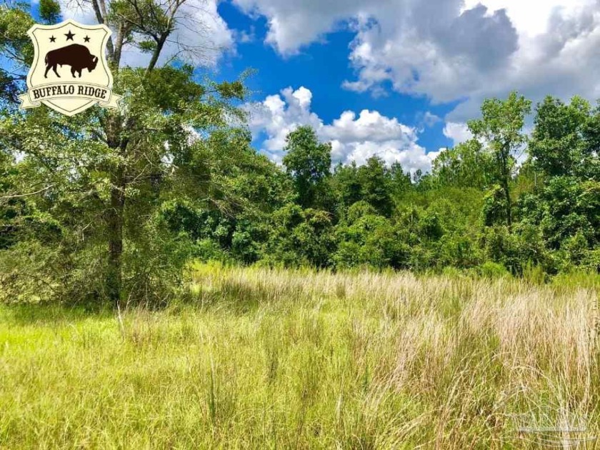 This 15-acre homesite with dimensions 344 x 1774 feet has a lot - Beach Acreage for sale in Pace, Florida on Beachhouse.com