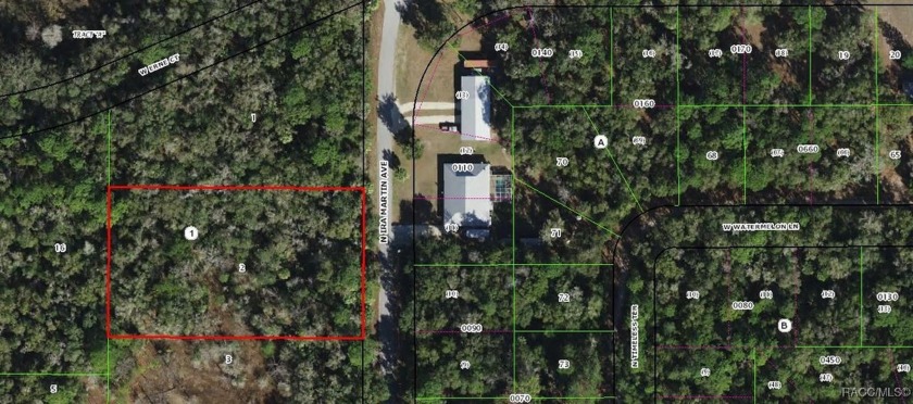 NICE QUIET NEIGHBORHOOD. A BEAUTIFUL WOODED LOT ONLY 10-15 - Beach Lot for sale in Crystal River, Florida on Beachhouse.com