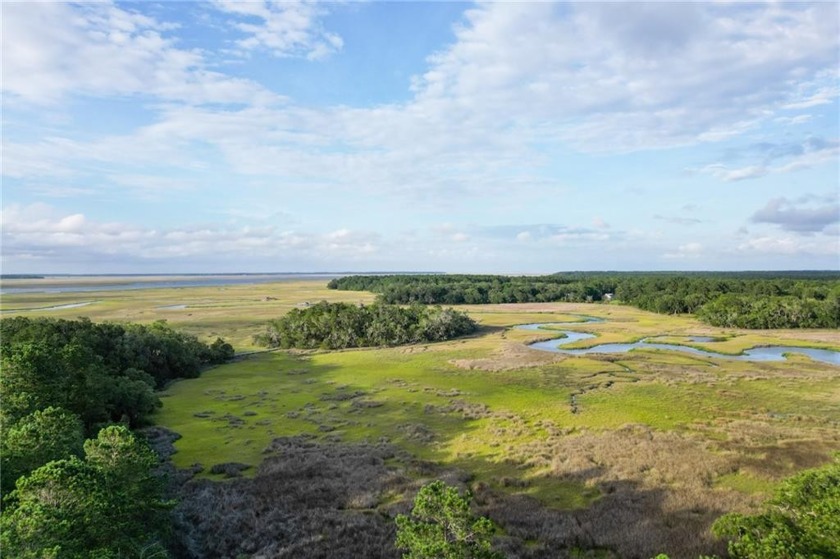 Gorgeous .706-acre lot w/109 ft of pristine marsh front offers - Beach Lot for sale in Townsend, Georgia on Beachhouse.com