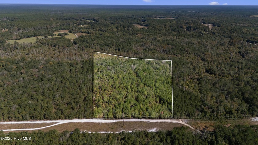 If you've been looking for a private piece of land that still - Beach Acreage for sale in Supply, North Carolina on Beachhouse.com