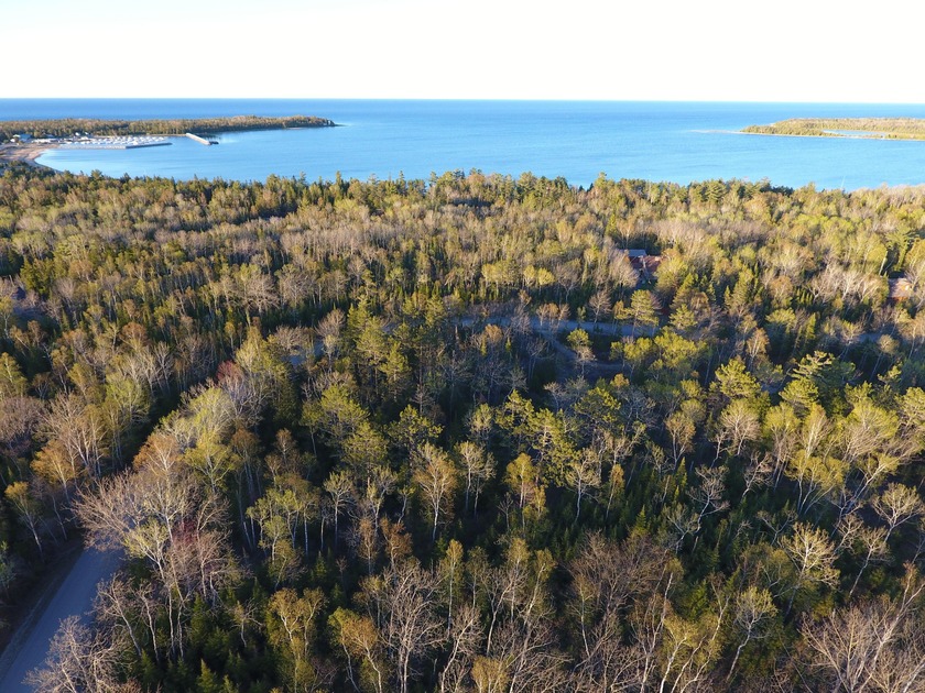 Private wooded quadruple lot in the Presque Isle Harbor - Beach Lot for sale in Presque Isle, Michigan on Beachhouse.com