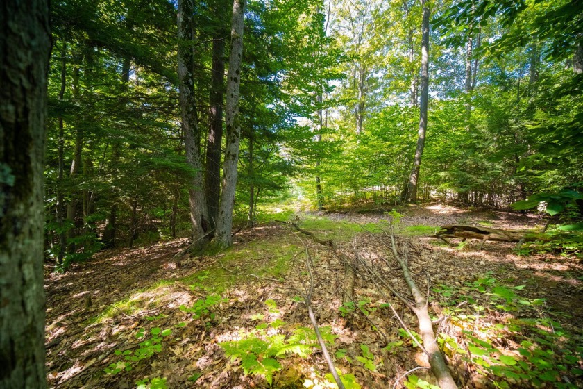 Over 1 1/2 acres of wooded and rolling terrain provides a - Beach Lot for sale in Onekama, Michigan on Beachhouse.com