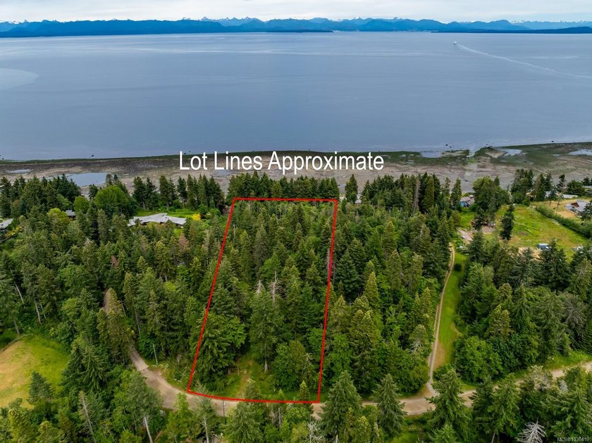 This exceptional 5 acre walk on waterfront property on the edge - Beach Lot for sale in Comox, British Columbia on Beachhouse.com