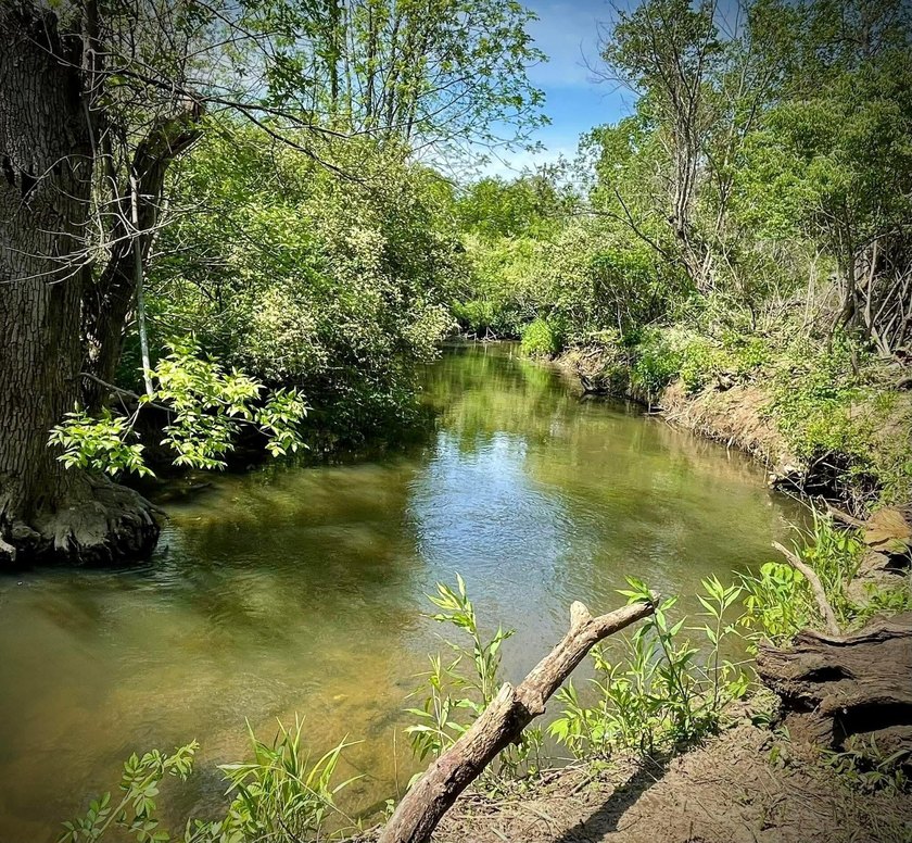 Nature lover's paradise. Beautiful 1.46 acres lot in town - Beach Lot for sale in Chesterton, Indiana on Beachhouse.com