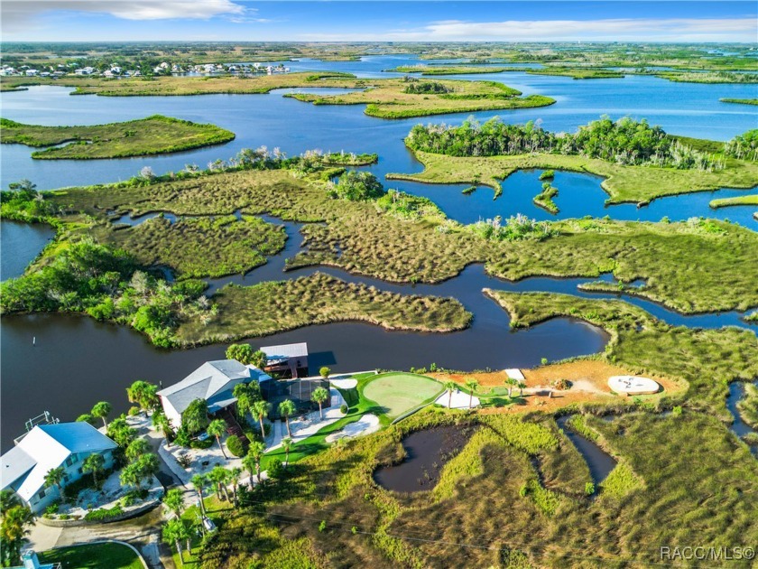 Experience luxurious waterfront living in this expansive home - Beach Home for sale in Crystal River, Florida on Beachhouse.com