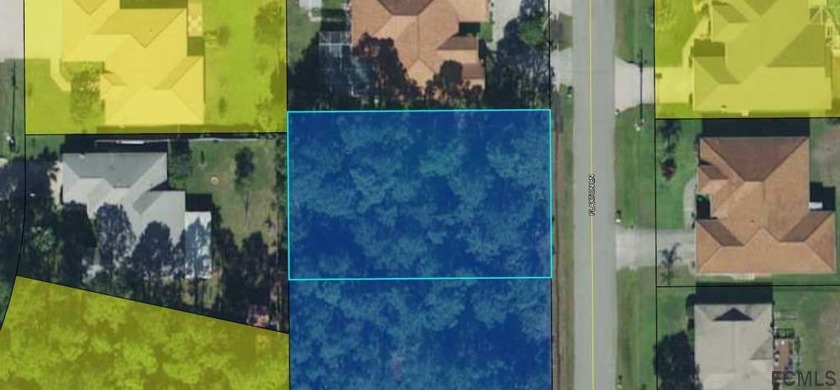 HIGH & DRY LOT, NO HOA , NOR CDD FEES LOCATED IN A NICE SECTION - Beach Lot for sale in Palm Coast, Florida on Beachhouse.com