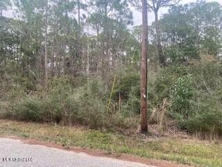 Build your new home in this quiet neighborhood close to the - Beach Lot for sale in Pass Christian, Mississippi on Beachhouse.com