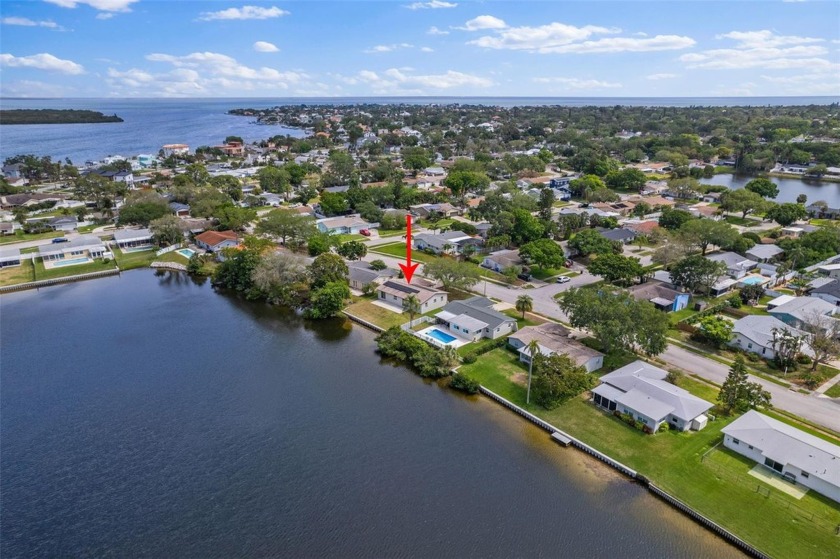 Rare single owner home with no history of flooding  transferable - Beach Home for sale in St. Petersburg, Florida on Beachhouse.com