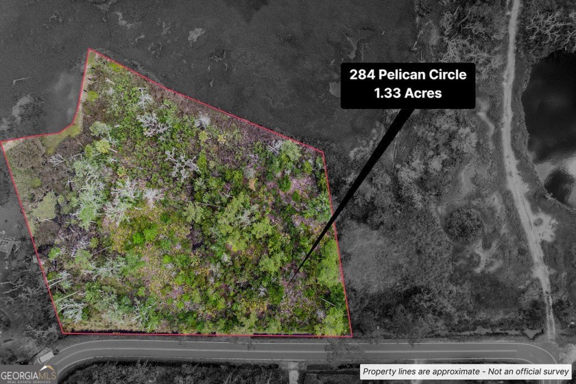 Check out this marsh-front 1.33 acre lot near the public boat - Beach Lot for sale in Woodbine, Georgia on Beachhouse.com