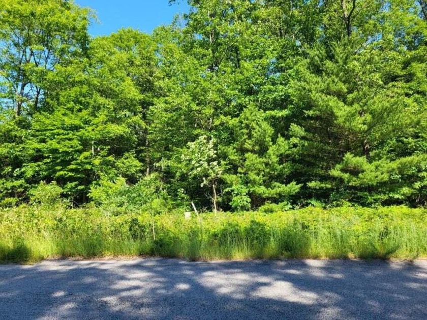 Beautiful building site in a desirable development. Lot #17 - Beach Lot for sale in Whitehall, Michigan on Beachhouse.com