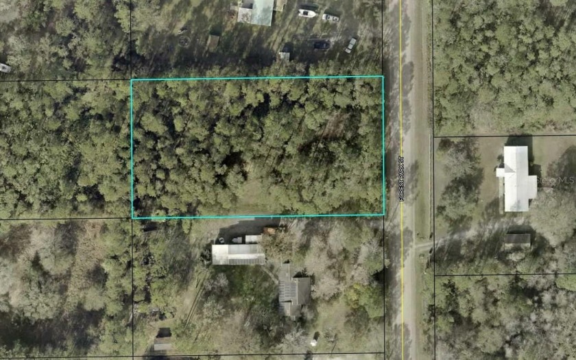 Nicely wooded 165x300' country lot, located close to paved road - Beach Lot for sale in Bunnell, Florida on Beachhouse.com