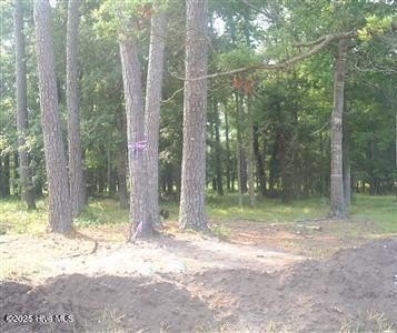 Discover your dream homesite in the thriving coastal community - Beach Lot for sale in Shallotte, North Carolina on Beachhouse.com