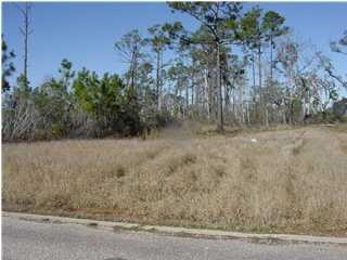 NICE RESIDENTIAL LOT LOCATED IN WATERFRONT COMMUNITY - Beach Lot for sale in Milton, Florida on Beachhouse.com