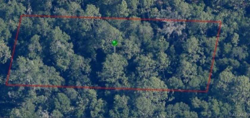 This beautifully wooded double lot offers both privacy and a - Beach Lot for sale in Crystal River, Florida on Beachhouse.com