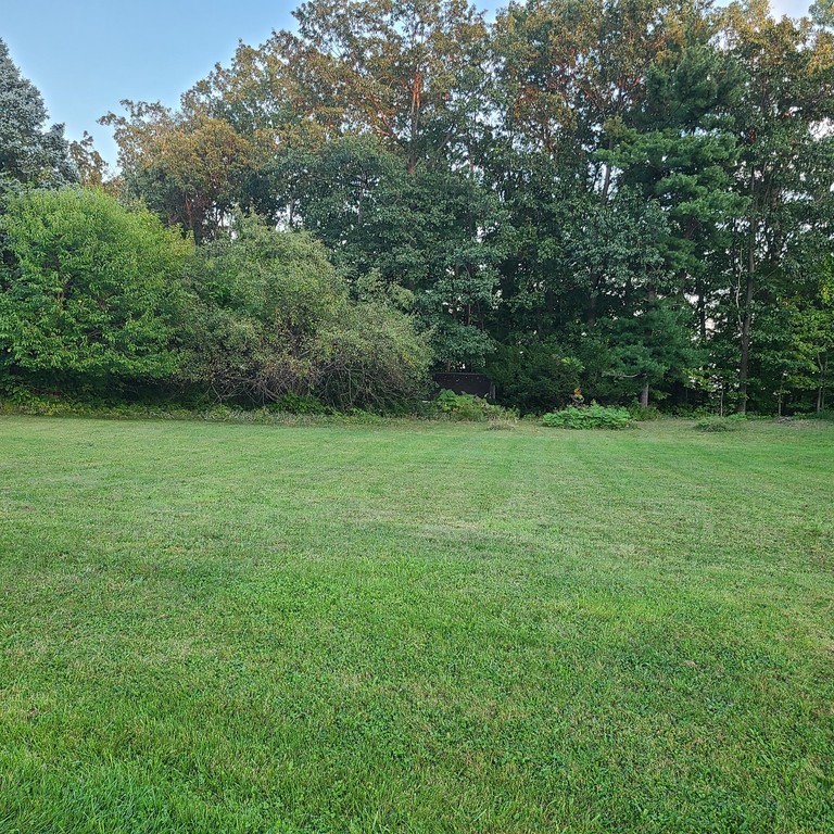 WOODED, RAVINE LOT with  approximately 130ft OVERLOOKING THE ST - Beach Lot for sale in Saint Joseph, Michigan on Beachhouse.com