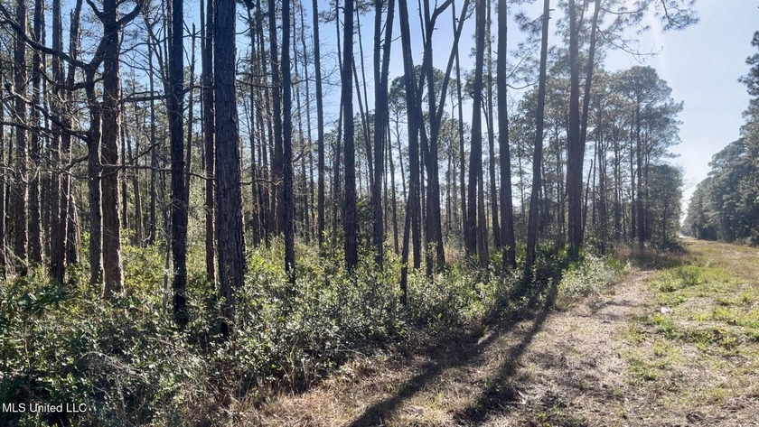 Check out this undeveloped vacant lot located in Ocean Springs - Beach Lot for sale in Ocean Springs, Mississippi on Beachhouse.com