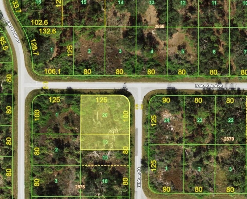 Your Dream Starts Here with this Oversized Vacant Lot in Port - Beach Lot for sale in Port Charlotte, Florida on Beachhouse.com
