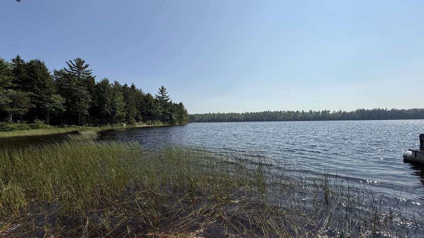 Come build your dream home or camp on this stunning 153-acre lot - Beach Acreage for sale in Ellsworth, Maine on Beachhouse.com