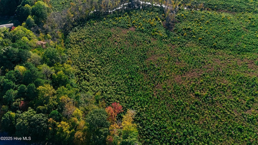 10 Acres in Perquimans County with No HOA or Deed Restrictions - Beach Acreage for sale in Hertford, North Carolina on Beachhouse.com