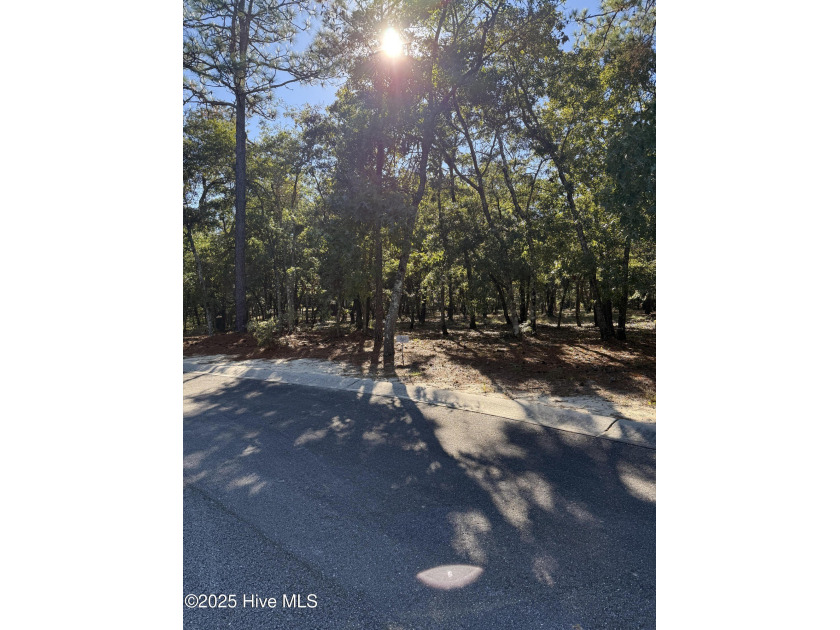 Welcome which is only minutes to Holden Beach! This stunning - Beach Lot for sale in Supply, North Carolina on Beachhouse.com