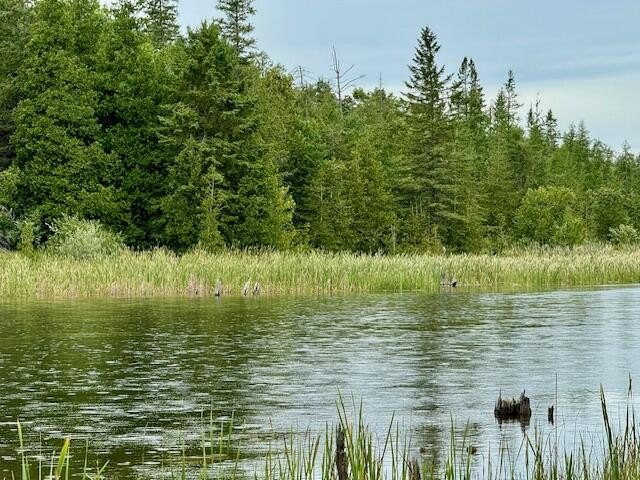 Gorgeous Estate-Size Parcels on the Black River. Discover your - Beach Acreage for sale in Cheboygan, Michigan on Beachhouse.com