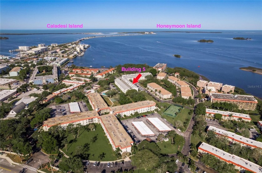 WOW!! The association just LOWERED the monthly dues by over - Beach Condo for sale in Dunedin, Florida on Beachhouse.com