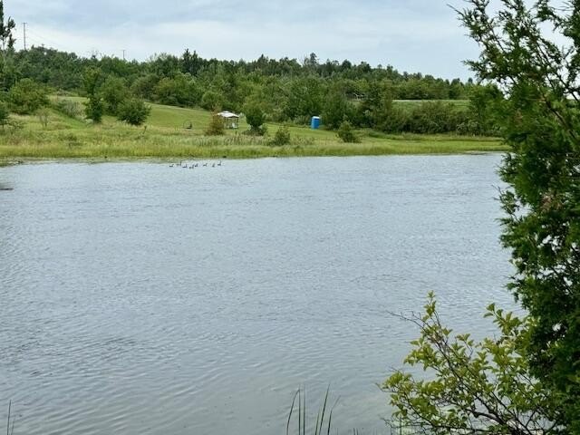 Gorgeous Estate-Size Parcels on the Black River. Discover your - Beach Acreage for sale in Cheboygan, Michigan on Beachhouse.com
