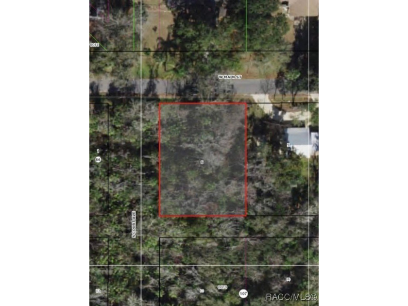 Unlock the potential of this vacant lot nestled in the heart of - Beach Lot for sale in Homosassa, Florida on Beachhouse.com