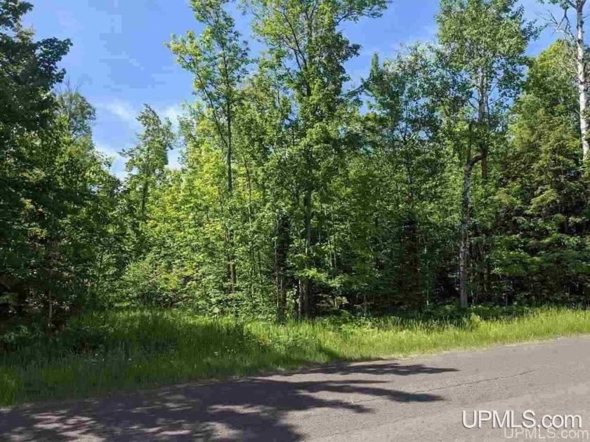 Ideal property on which to build your dream home or your - Beach Acreage for sale in Ontonagon, Michigan on Beachhouse.com