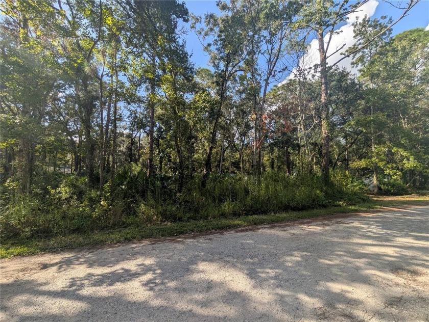 Over a quarter acre of mostly clear, raw land in the heart of - Beach Lot for sale in New Port Richey, Florida on Beachhouse.com