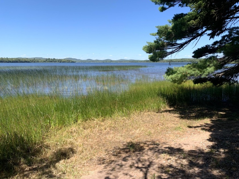 Are you wanting to build your next home or cottage on Boyden - Beach Acreage for sale in Perry, Maine on Beachhouse.com