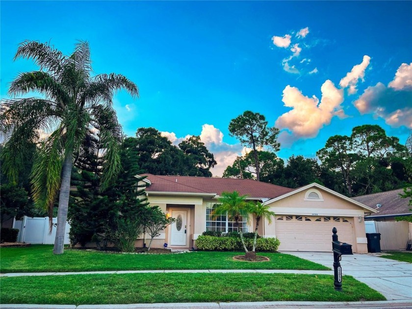 Newly renovated!  Vinyl flooring throughout the house!  New - Beach Home for sale in Tampa, Florida on Beachhouse.com