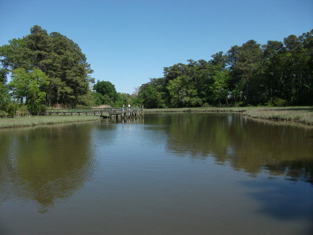 Lot on deep water with the ability to build a private dock. Very - Beach Acreage for sale in Cape Charles, Virginia on Beachhouse.com
