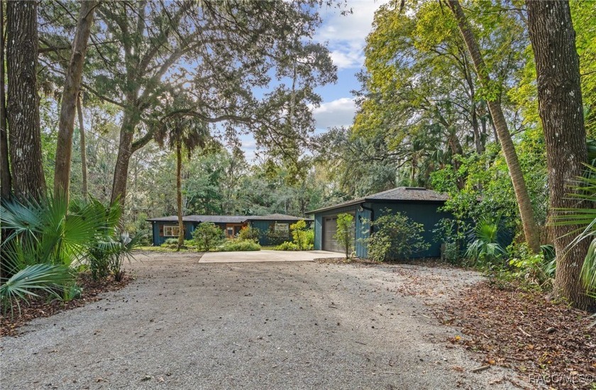 The Mellow Manatee is manifesting a mighty bright future- This - Beach Home for sale in Homosassa, Florida on Beachhouse.com