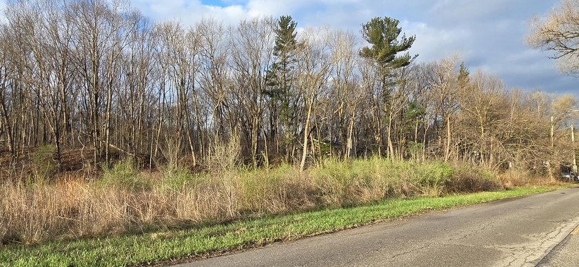 LOCATION, LOCATION, LOCATION!! Prime Homesite in Miller Beach - - Beach Lot for sale in Gary, Indiana on Beachhouse.com