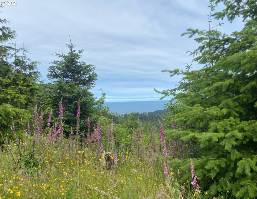 Discover a rare opportunity with this majestic 160-acre ranch - Beach Acreage for sale in Manzanita, Oregon on Beachhouse.com