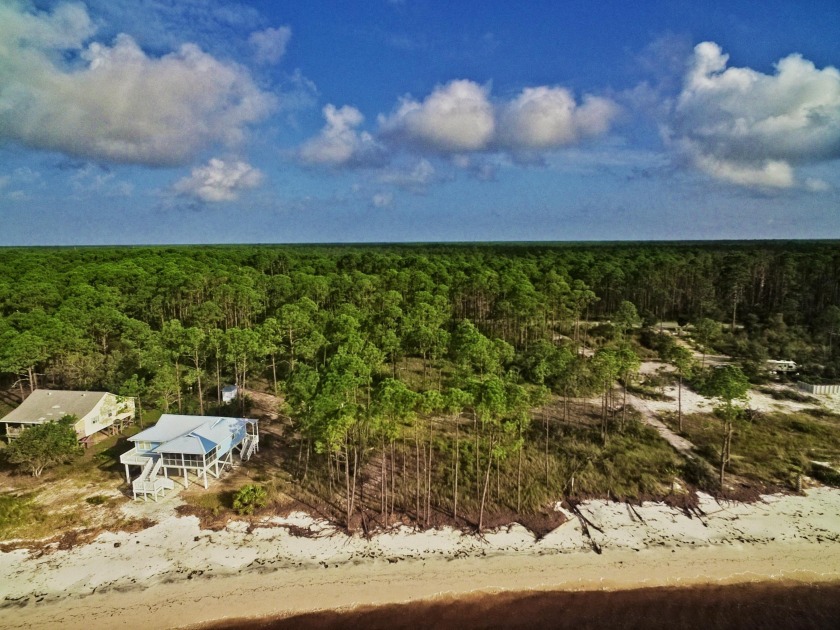 Over 2 acres of pristine unspoiled Florida beach property - Beach Acreage for sale in Carabelle, Florida on Beachhouse.com