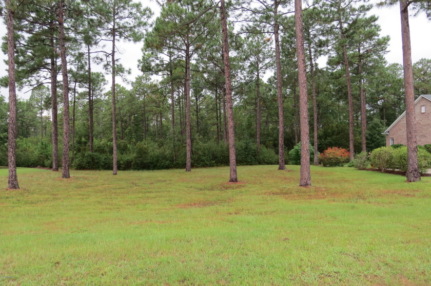 This large, lovely lot is ideal for your new home.  Check it out - Beach Lot for sale in Bolivia, North Carolina on Beachhouse.com