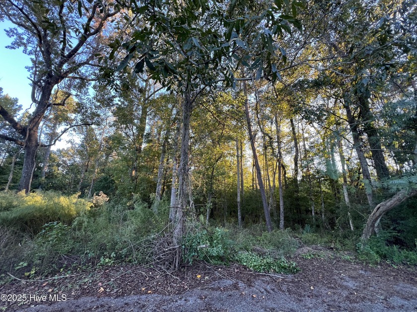 Discover this 0.73-acre buildable homesite located at the end of - Beach Lot for sale in Wilmington, North Carolina on Beachhouse.com