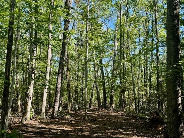 Discover your own slice of Northern Michigan paradise with this - Beach Acreage for sale in Cheboygan, Michigan on Beachhouse.com