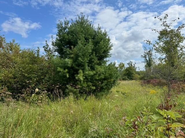 SELLER FINANCING AVAILABLE! Discover these nicely wooded - Beach Acreage for sale in Cheboygan, Michigan on Beachhouse.com