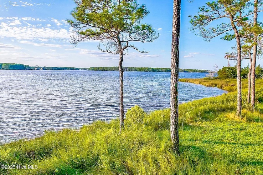 Discover breathtaking Broad Creek views at 469 Ballast Point - Beach Lot for sale in Oriental, North Carolina on Beachhouse.com